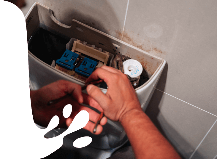 toilet repairs Castlecrag